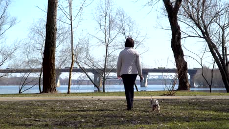 elderly woman walks in spring park with little dog