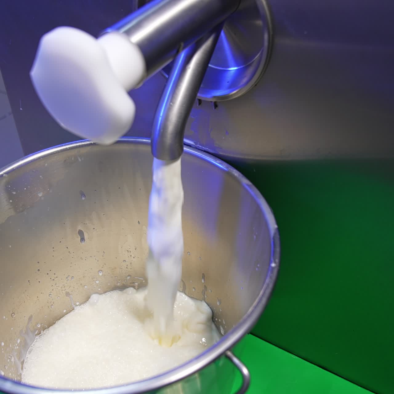 Worker at food factory opens the tap. Milk is poured into a metal bucket. Close up. Products for sweets production