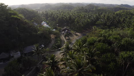 tropical village aerial view