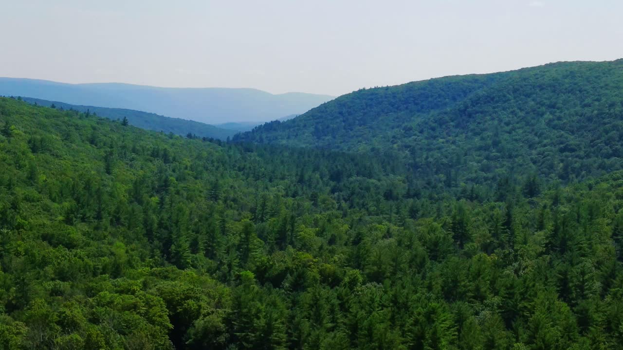 Aerial view of forest in the Catskill Mountains, Hudson Valley, in Appalachian Mountains during summer