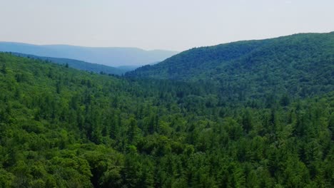 aerial view of forest in the catskill mountains, hudson valley, in appalachian mountains during summer