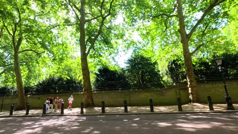 pedestrians strolling under trees in london