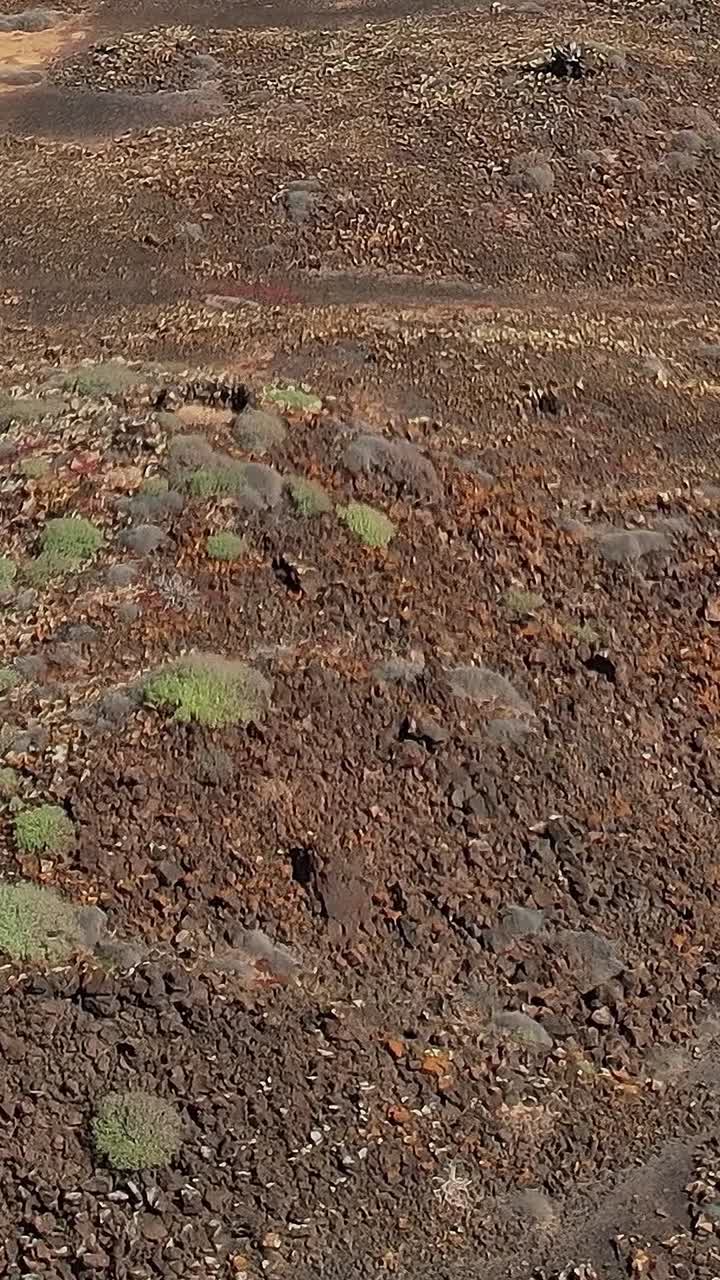 Esplorando il paesaggio unico delle Isole Canarie in Spagna di giorno