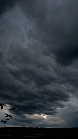 birds flying in a stormy sky