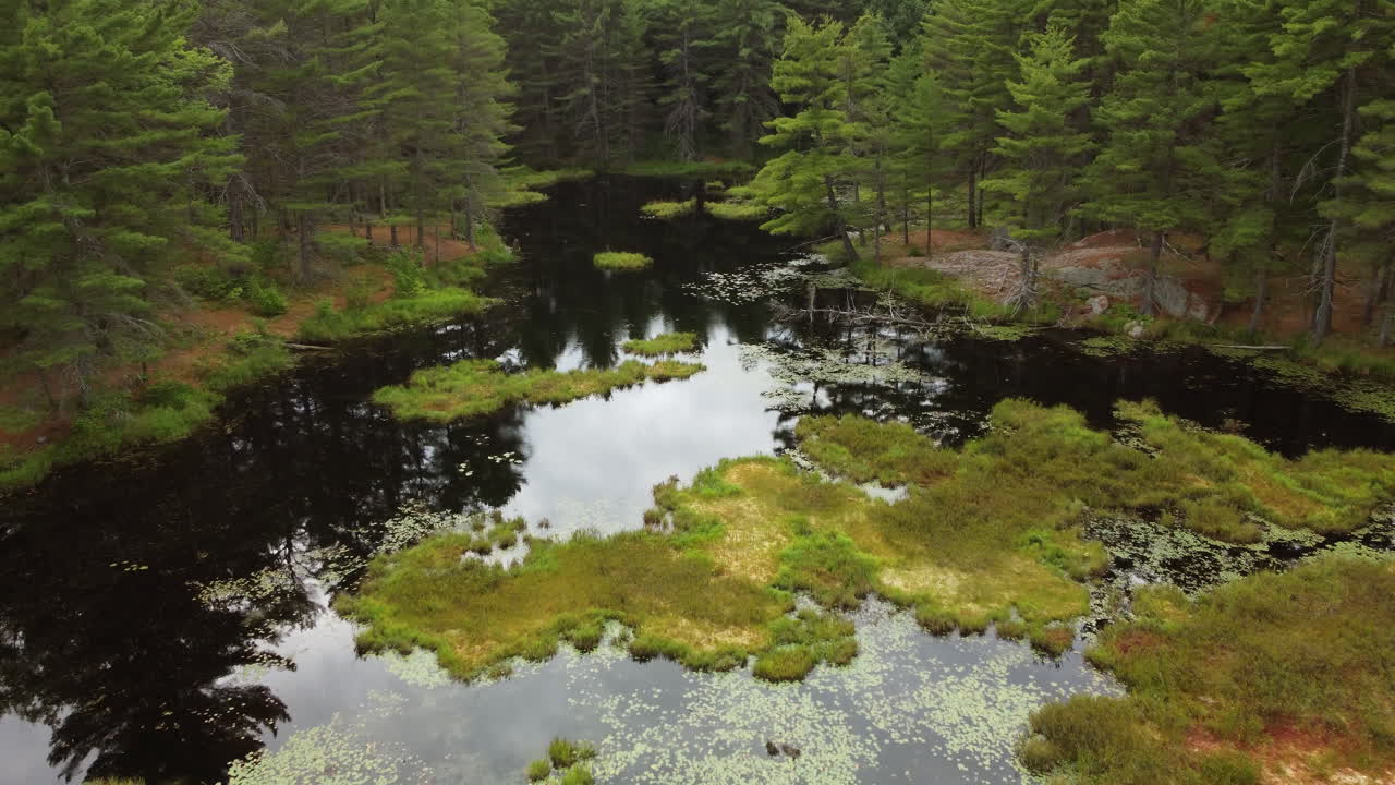 storslået landskab udsigt over humber river park i etobicoke