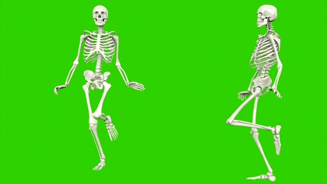 skeleton walk. seamless loop animation on green screen.