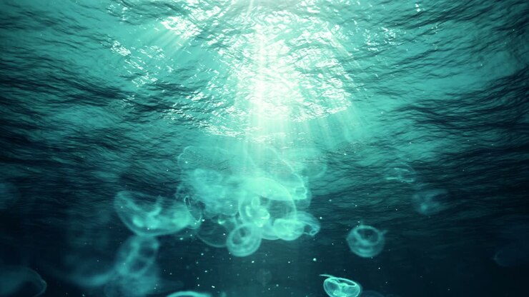 unterwasser-sonnenstrahlen im ozean und quallen (schleife)