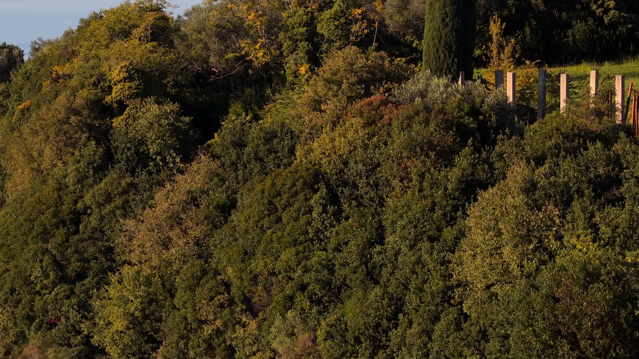Aerial view of Piran, Slovenia's scenic coast and historic charm