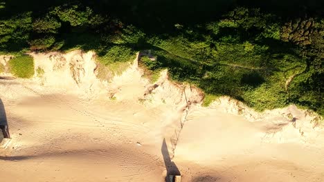 aerial view over and above the sea. footage flows from the bush brush onto and above the ocean with waves crashing.durban south africa