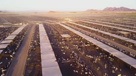 An-aerial-rising-shot-over-vast-stockyards-of-beef-cattle-in-the-American-west-1