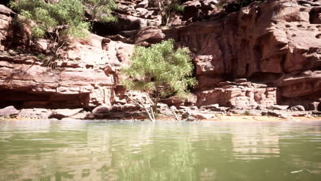 rocky river canyon with trees