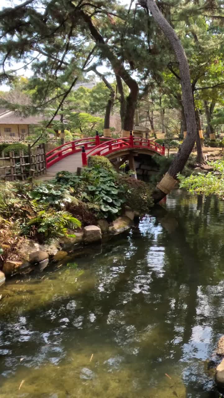 Japanese Garden with Red Bridge and Pond