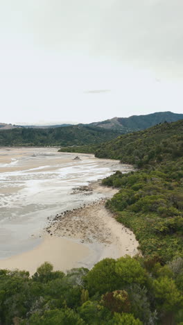 coastal landscape with forest and bay