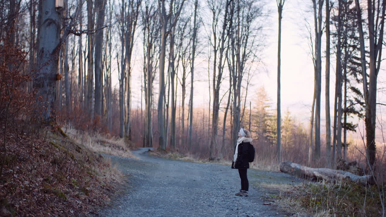 산속 등산로를 따라 걷는 레저 스포츠 관광 4