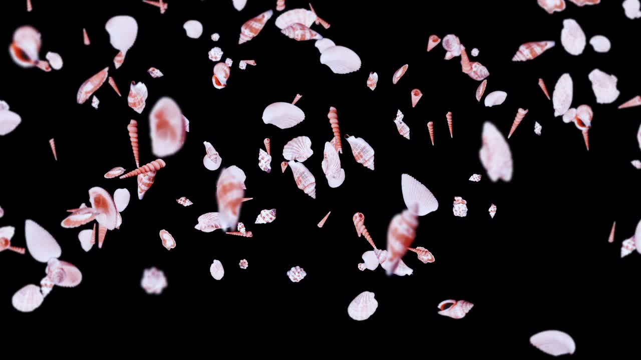 검은 바탕에 많은 바다 데기를 날아. 현실적인 조개 모양의 컬렉션. 열대 수중. 회전하는 데기의 3d 루프 애니메이션.
