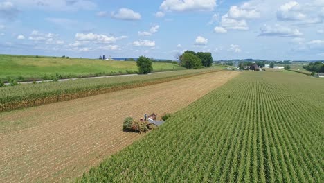 Eine-Luftseitenansicht-Von-Amish,-Die-Dort-Mit-Sechs-Pferden-Und-Drei-Männern-Mais-Ernten,-Wie-Es-Vor-Jahren-An-Einem-Sonnigen-Herbsttag-Getan-Wurde