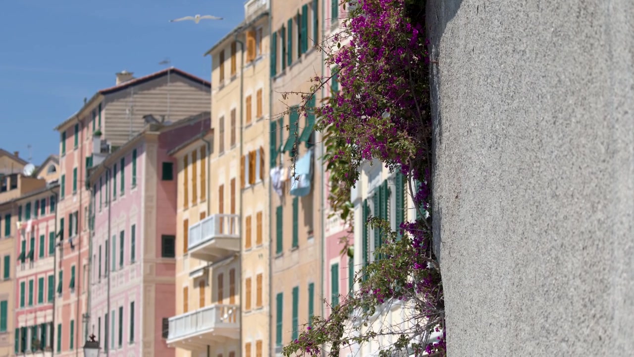 Inquadratura statica di vivaci facciate mediterranee con persiane verdi e fiori viola sotto la luce solare intensa