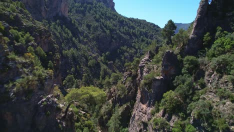 vuelo a baja altura dentro del desfiladero y barrancos montañosos con bosque mediterráneo y cauce de río