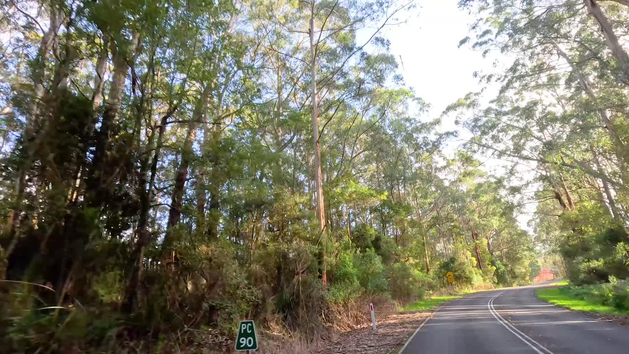 un viaje sereno a través de paisajes exuberantes y verdes