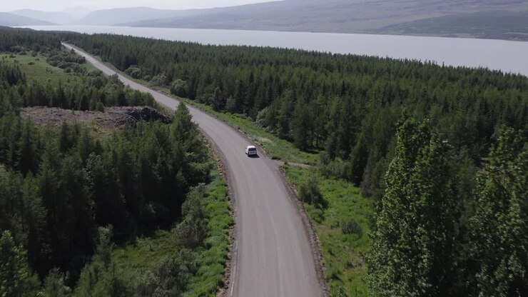 Un veicolo viaggia su strada sterrata nella foresta nazionale dell'Islanda, Hallormsstaður