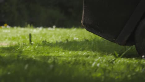 Gardener-mowing-home-lawn-with-small-tractor-equipment,-close-up-view