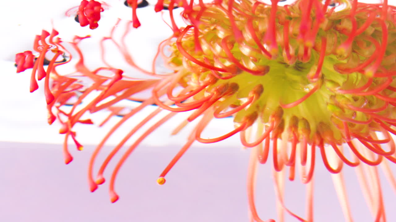 물 스플래시 클로즈업