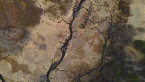 top down aerial view of dark colored and cold narrow water streams or pääskpla rivers flowing on brown and yellow colored landscape in laagri estonia during a cloudy day with leafless trees around it.