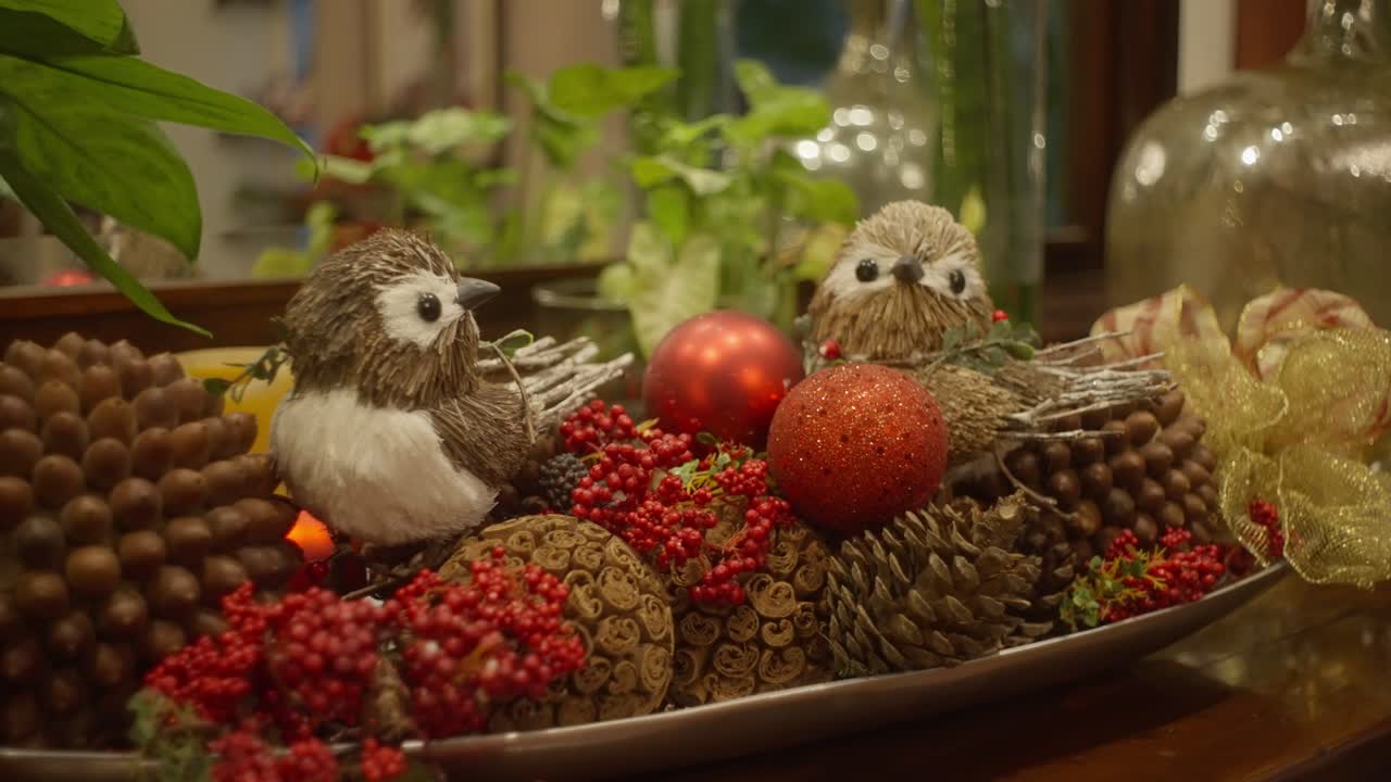 크리스마스 물건의 에서 느린 동작 도리