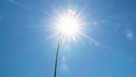 handheld of sun beams shining through chilean flag hoisted on a pole and waving in the wind at daytime