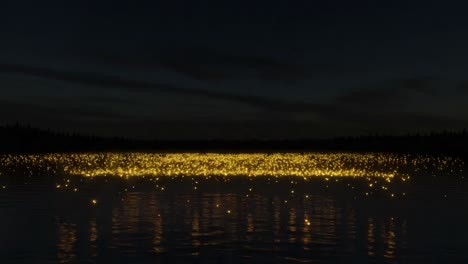 a mesmerizing display of floating lights above a tranquil lake, creating a stunning visual effect against the backdrop of a starry night sky over the calm water