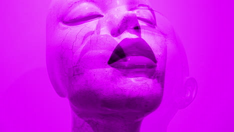 fotos en la cabeza de hermosas hembras maniquín