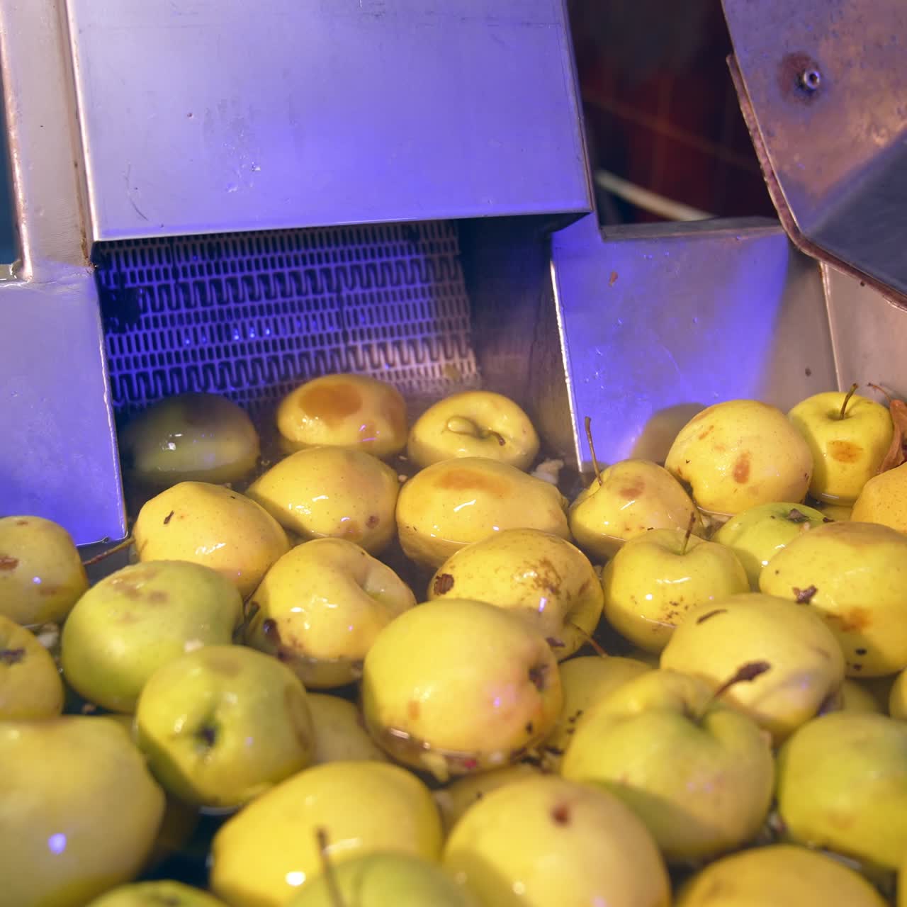 Apple juice factory making. Fresh farming healthy food factory