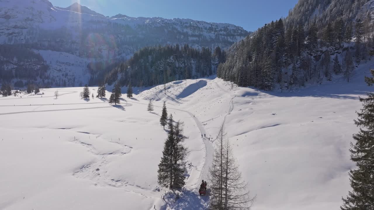 Vista aerea di una slitta trainata da cavalli che traccia un sentiero nel terreno austriaco innevato.