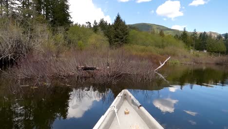 canoeing-on-lake-with-Canadian-goose-and-reflective-blue-skies