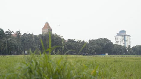 Lluvia-Cayendo-Sobre-La-Exuberante-Hierba-Verde-En-El-Maidan-Ovalado,-Parque-Infantil-Con-La-Antigua-Secretaría-De-Bombay-Al-Fondo