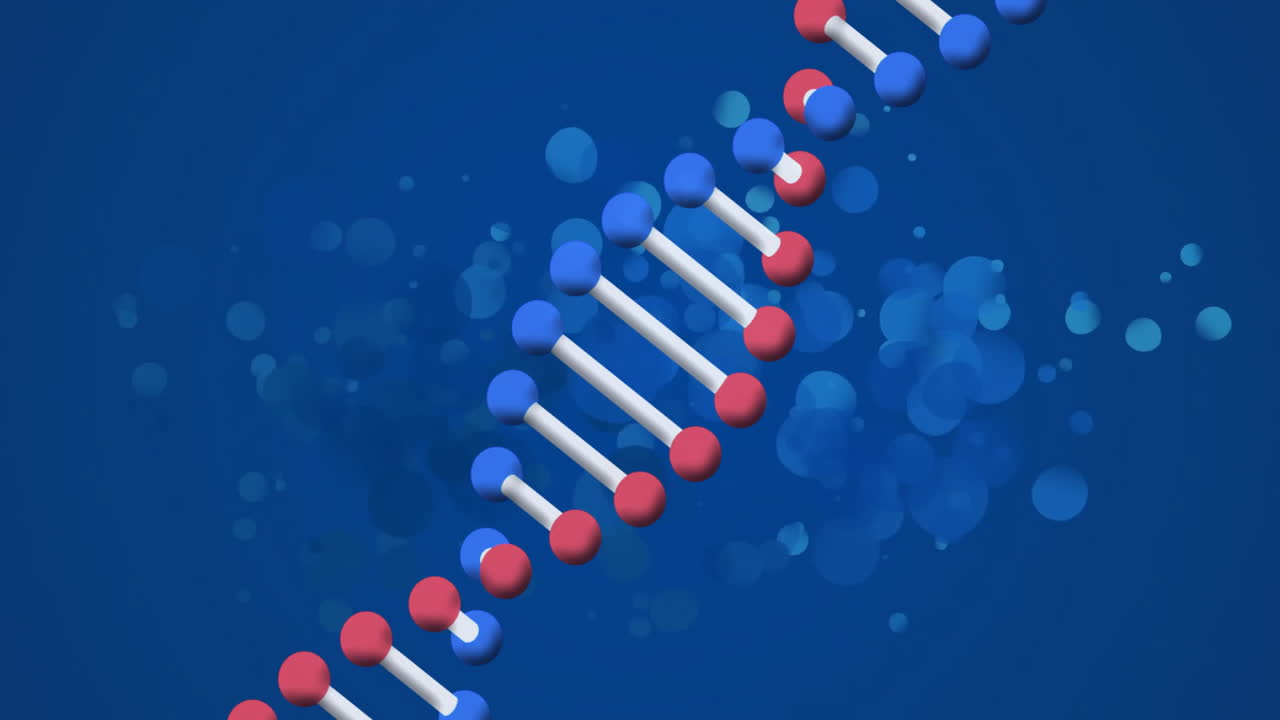 DNA strand structure animation with blue and red molecules on blue ...