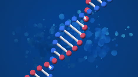 dna strand structure animation with blue and red molecules on blue background