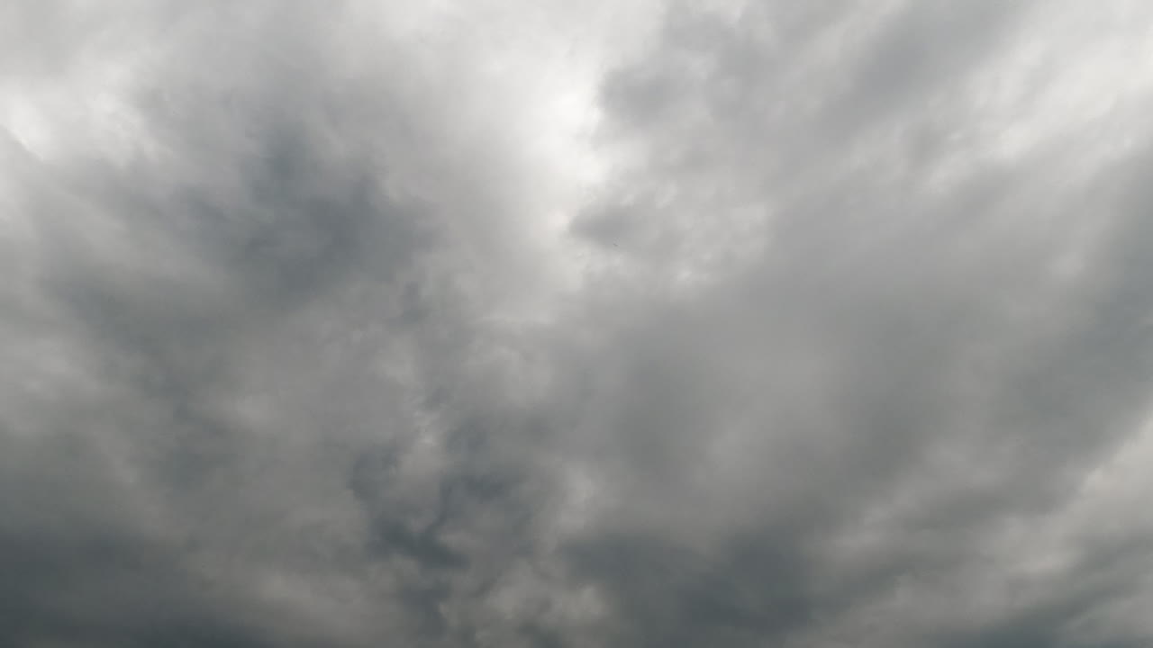 The sky can't be seen behind the grey thick cloudscape. Rainy clouds float in the atmosphere. Low angle view. Timelapse.