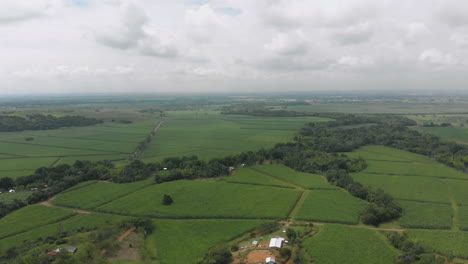 Aerial-view-of-crops
