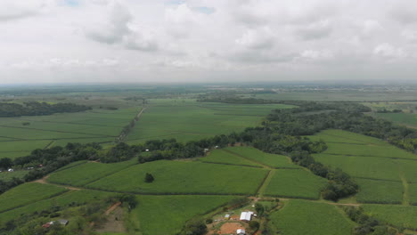 Vista-Aerea-De-Cultivos