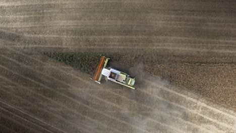 Combine-harvester-harvesting-wheat-in-Germany,-aerial-top-down-static-drone-view