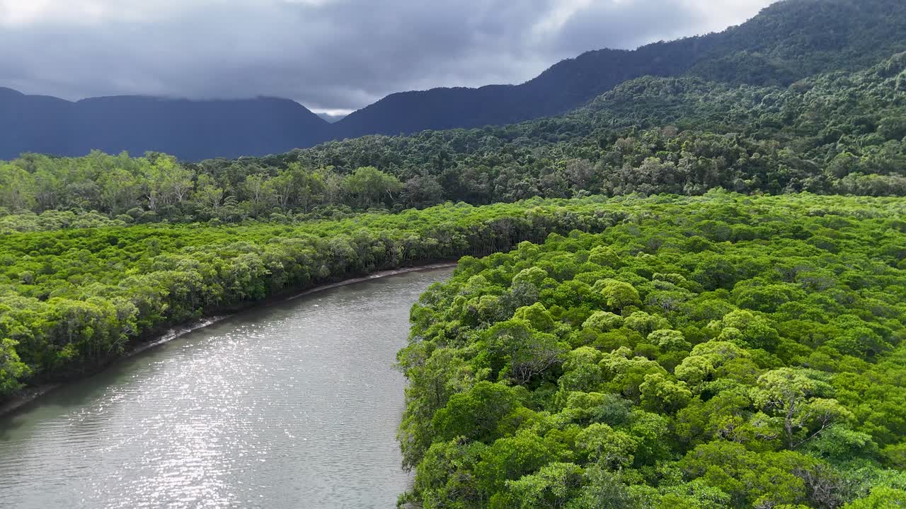 Aerial view of lush tropical rainforest and winding river under cloudy skies in Far North Queensland