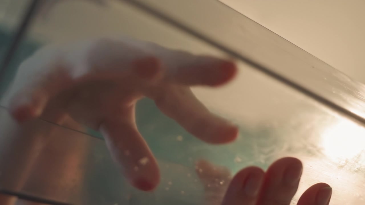 Close up of hands covered in soap suds reaching through glass barrier. Soap bubbles cling to wet surfaces reflecting light. Indoor setting with warm sunlight streaming