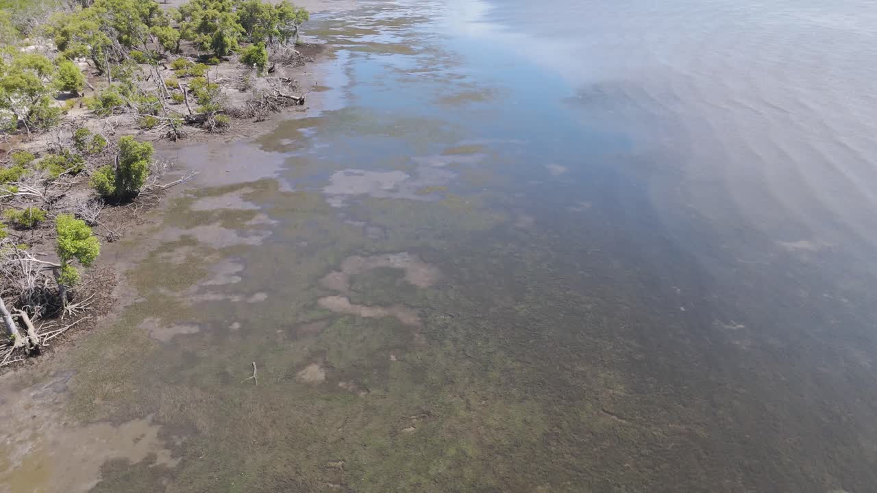 vista aérea de los manglares costeros y las aguas poco profundas