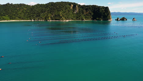 aerial-view-of-Clam-breeding-farm-in-Wainui-bay-abel-tasman-national-park-New-Zealand-with-scenic-coastline-landscape