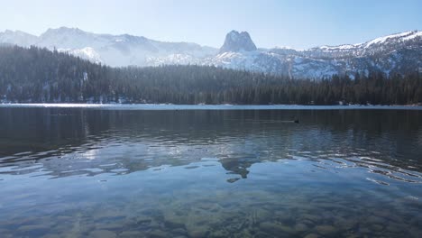 drone flying close to watertowards snowy mountains slowly ascending in mammoth lakes california