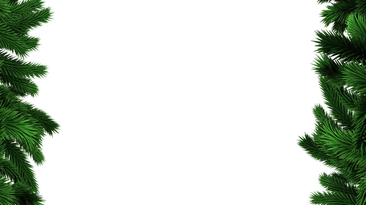 Animation of fir trees branches over white background