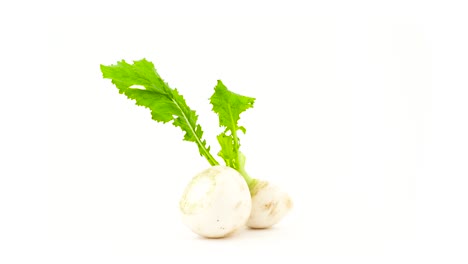 onew whole and one half cut white radish roots with leaves. rotating on the turntable. isolated on the white background. close-up. macro.