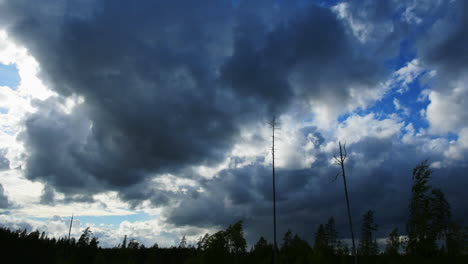 lapso de tiempo de nubes que se mueven rápidamente y árboles que se balancean durante el día