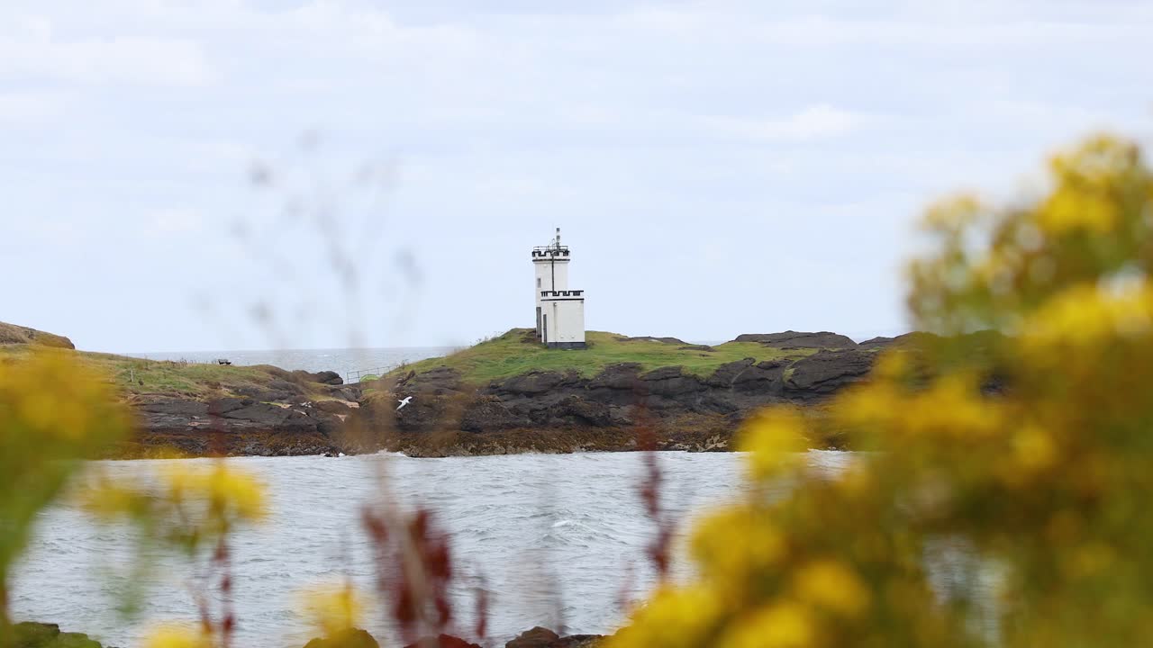 앞면 에 꽃 과 바다 가 있는 등대